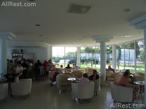 Dolphin Marina Hotel 8